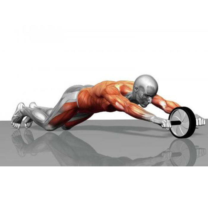 AbTrainer, o roată de antrenament cu mânere căptușite - Image 9