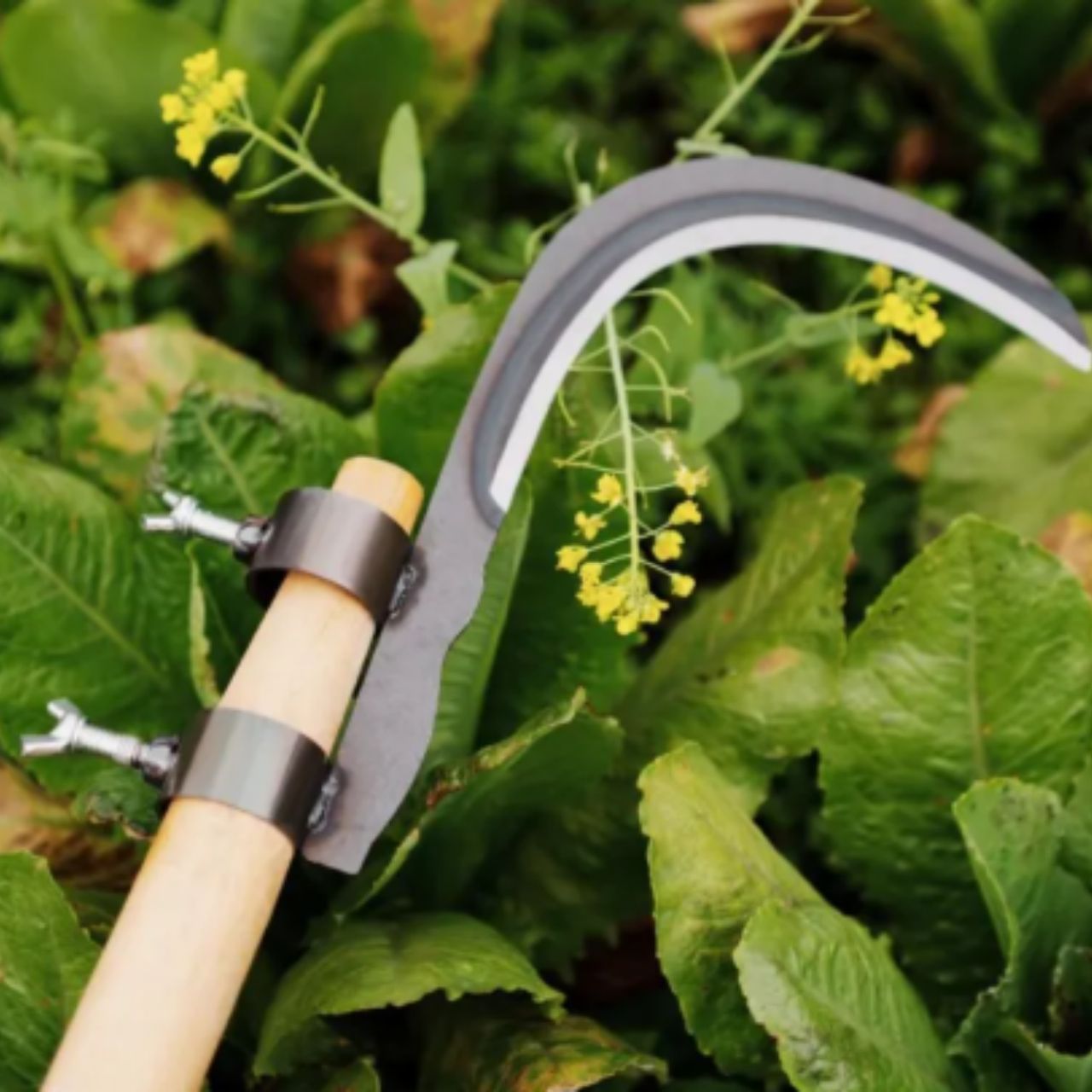 AgroTool, Tăietor de Crengi, Buruieni, Spini și Vegetație - Image 4