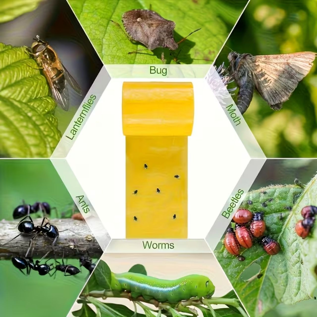 BarrierTape, bandă adezivă pentru prinderea insectelor