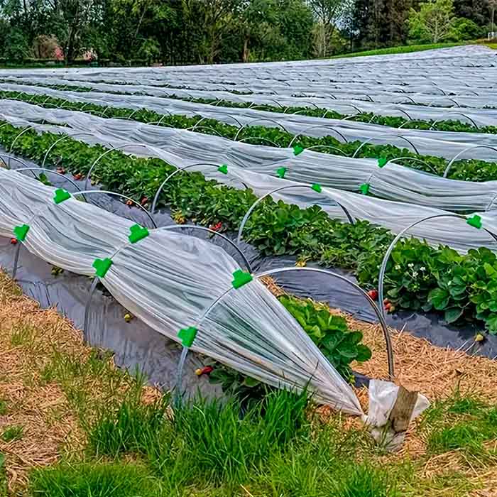Clipurile fixează eficient folia la seră și plasele și rețelele peste plante!