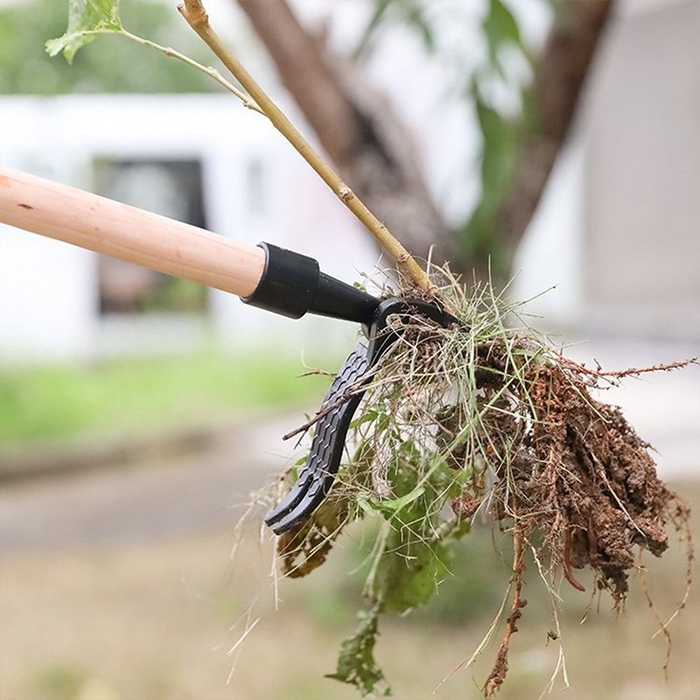 ClawWeeder – unealtă pentru smulgerea buruienilor din picioare - Image 5