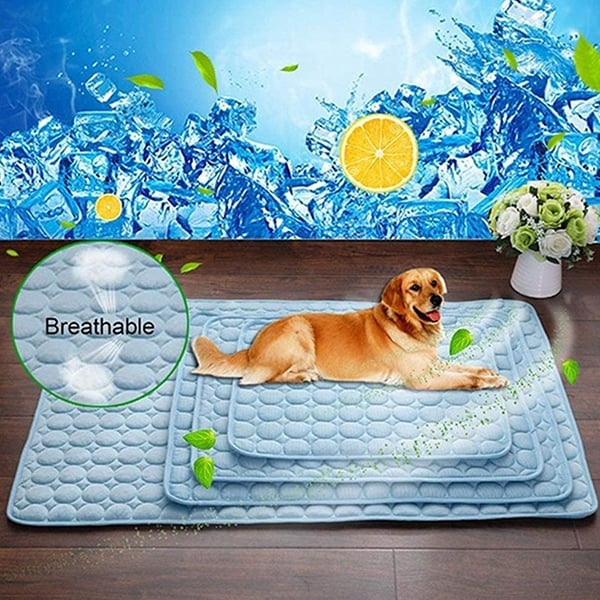 CoolingMat, covoraș de răcire pentru câini - Image 9