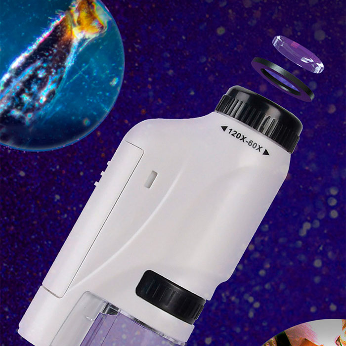 DiscoverBundle, microscop portabil pentru copii + set de 12 plăcuțe de observație - Image 10
