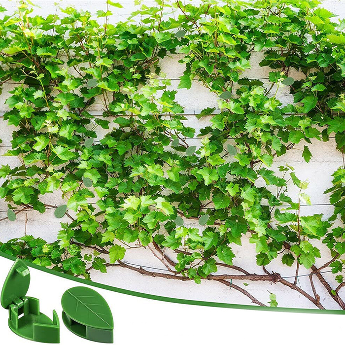 Redecorați spațiul cu ajutorul plantelor verzi!