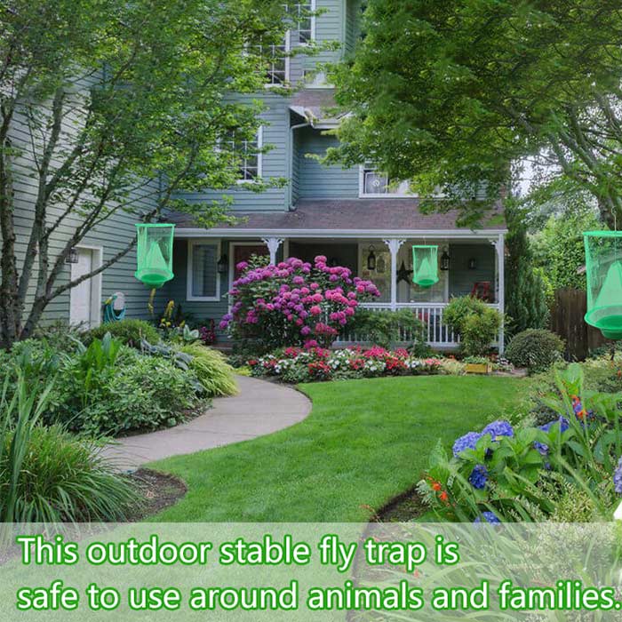 Turnați momeala pentru insecte - lichidă sau hrană - în vas și acestea vor fi prinse într-o plasă.