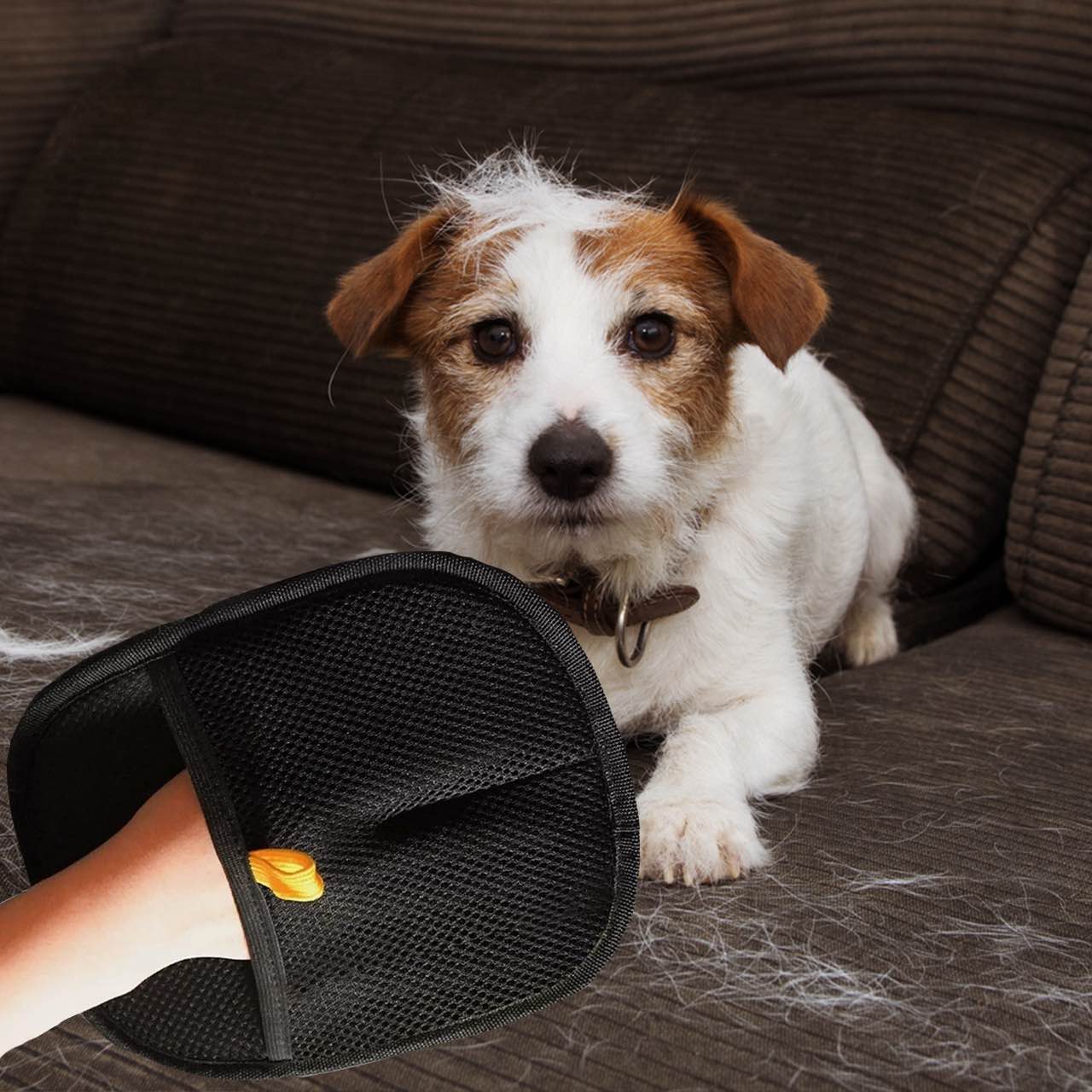 GroomyGlove, mănușa de îngrijire pentru animale, cu două fețe - Image 8