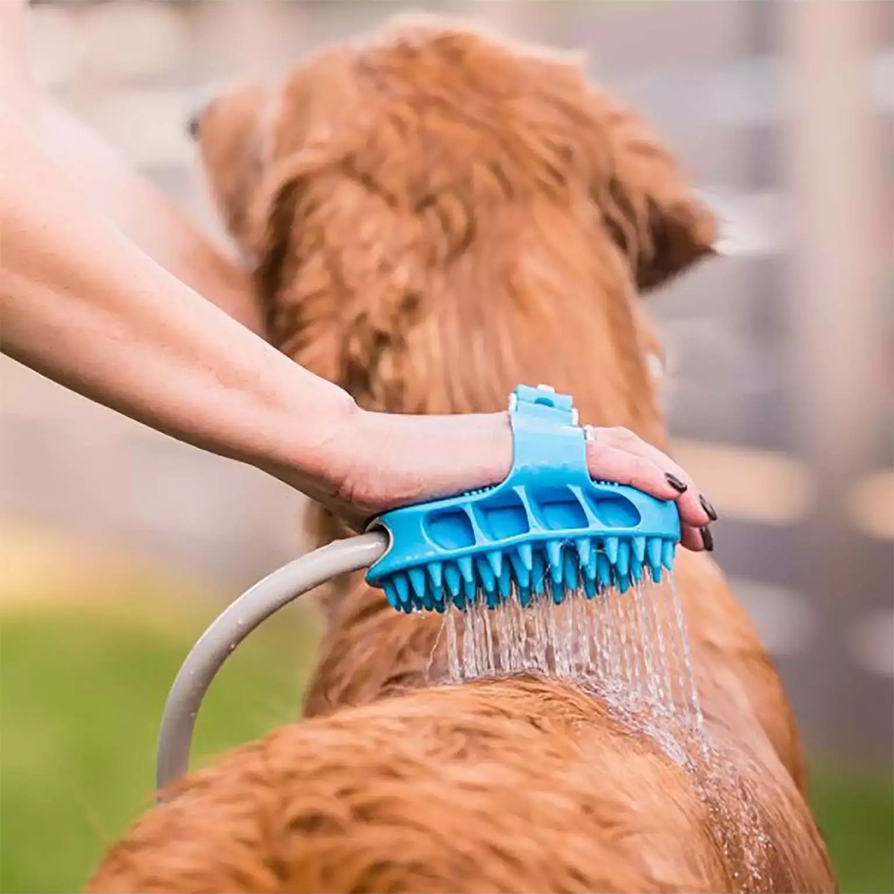 PawBath, perie de masaj multifuncțională pentru băița animalelor de companie - Image 8