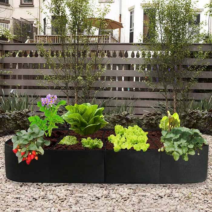 Un pat de grădină oferă cele mai optime condiții pentru creșterea plantelor!
