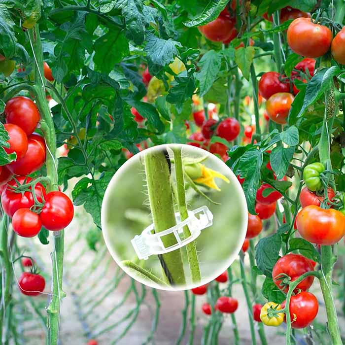 SnapClips, Cleme pentru plante (50 bucăți) - Image 8