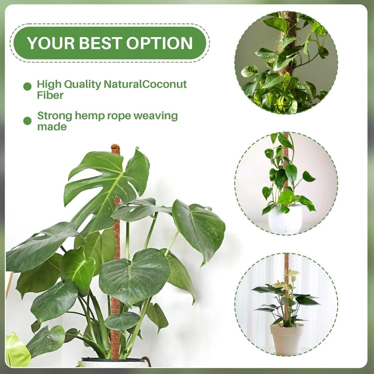 Suport stabil pentru plante
